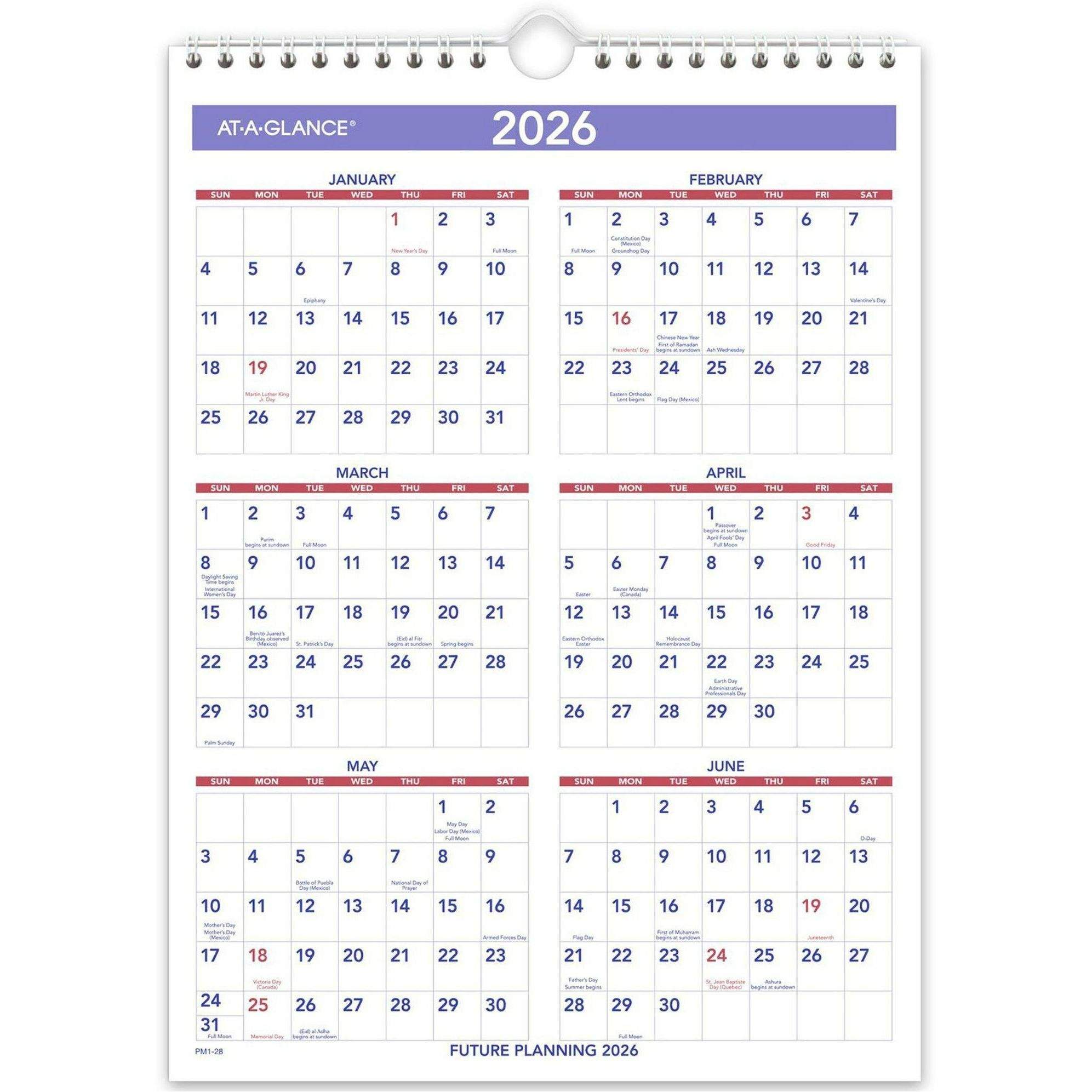 Wall Calendar by At-A-Glance AAGPM128 | OnTimeSupplies.com