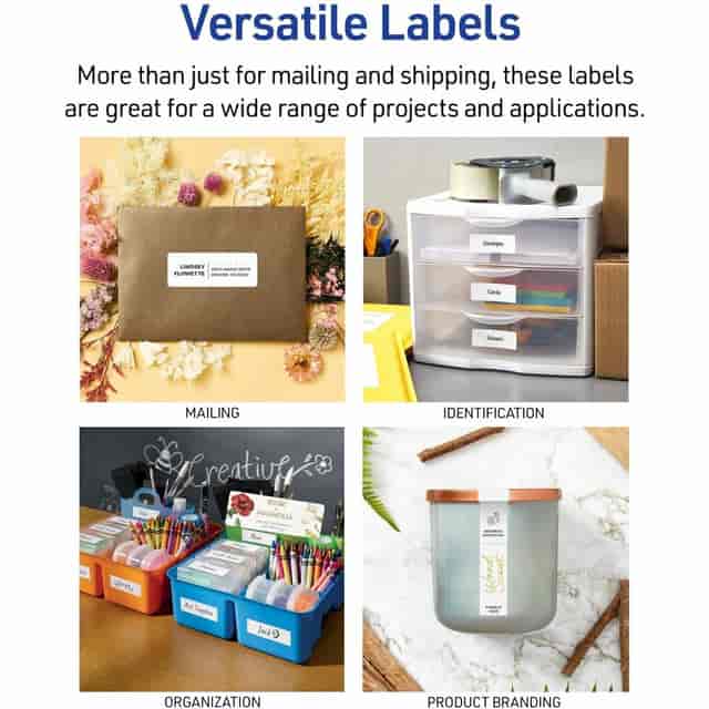 AVE2181 Product Image 4