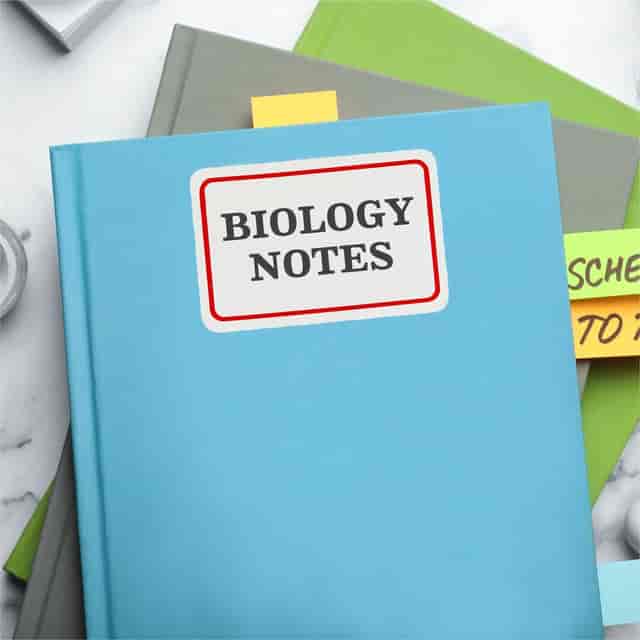 AVE5095 Product Image 12