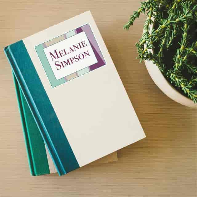 AVE6464 Product Image 3