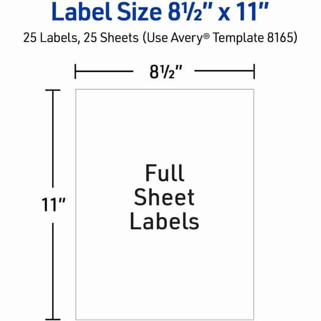 AVE8165 Product Image 7