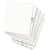 AVE11381 Image Thumbnail 6