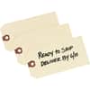 AVE12306 - Unstrung Shipping Tags, 11.5 pt. Stock, 5-1/4" x 2-5/8" , 1,000 Manila Hang Tags, 5.20" Length x 2.62" Width, Rectangular, Card Stock, Manila, 1000 / Box