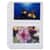 CLI52564 Image Thumbnail 4