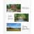 CLI85050 Image Thumbnail 5