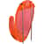 OIC30181 Image Thumbnail 1