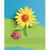 PAC1709 Image Thumbnail 3