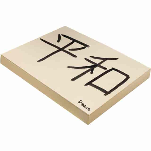 PAC5111 Product Image 4