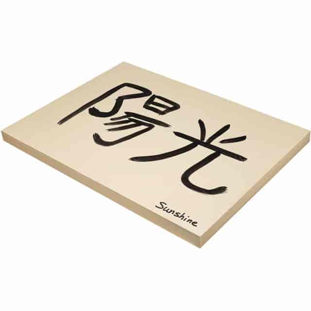 PAC5120 Product Image 4