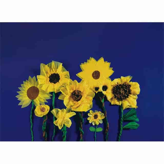 PAC58970 Product Image 3