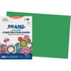 PAC8007 - Construction Paper, Multipurpose, 12" Width x 18" Length, Holiday Green, 1 Pack