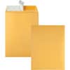 QUA44562 - 9 x 12 Catalog Envelopes with Redi-Strip&reg; Closure, Catalog, #10 1/2, 9" Width x 12" Length, 28 lb, Self-sealing, Kraft, Kraft, 100 / Box