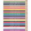 SAN20517 - Col-Erase Colored Pencils, Assorted Lead, Assorted Barrel, 24 / Set