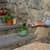 VEK90812 Image Thumbnail 16