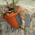 VEK90812 Image Thumbnail 8