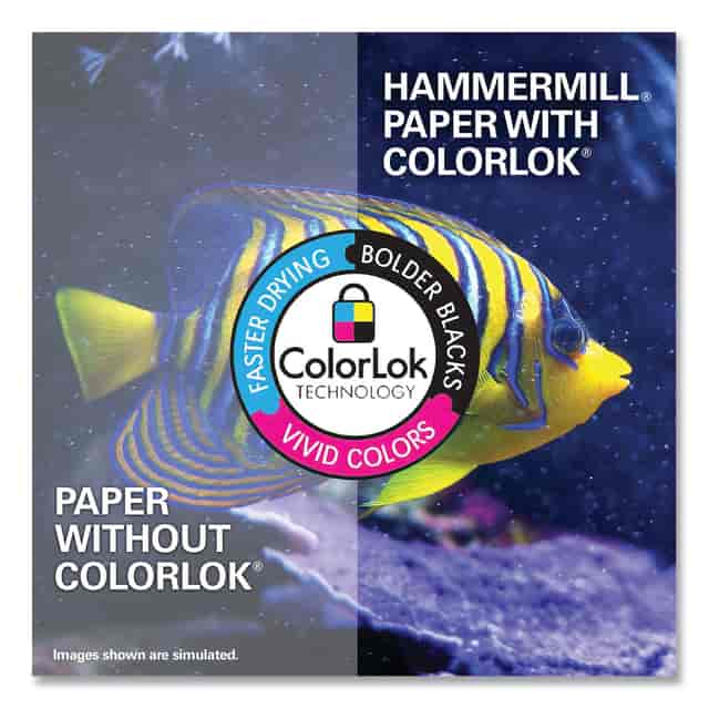 HAM103275 Product Image 6