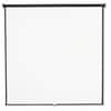 Projection Screens Thumbnail