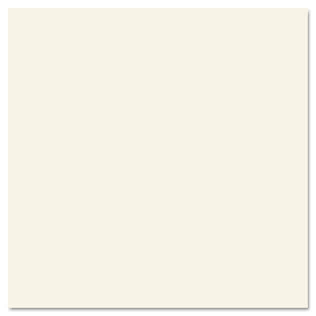 PAC101186 Product Image 2