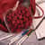 DCCCH24DEF Image Thumbnail 4