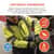 EGO23433 Image Thumbnail 1