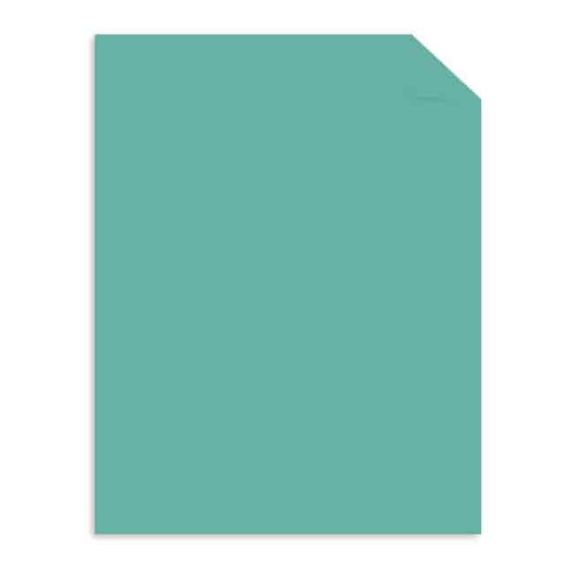WAU91784 Product Image 2