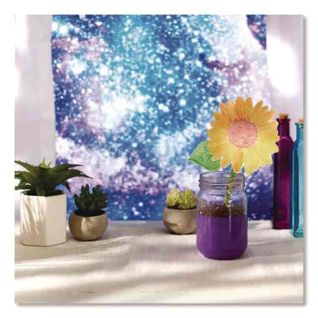 CYO530524 Product Image 4