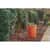 RCP2119307 Image Thumbnail 1