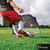 CSISG4830 Image Thumbnail 3