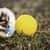 CSILBYN36 Image Thumbnail 6