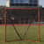 CSILNGL44 Image Thumbnail 6
