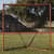 CSILNGL Image Thumbnail 5