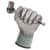 ANS13825 Image Thumbnail 4