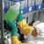 ANS97790 Image Thumbnail 2
