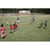 CSITWR4WAY Image Thumbnail 3