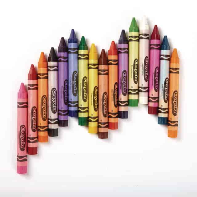 CYO524016 Product Image 7