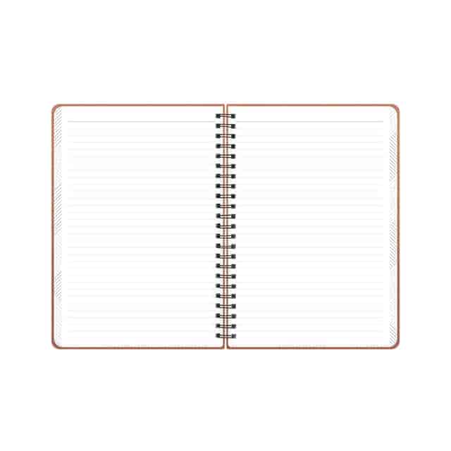 BLS150538 Product Image 4