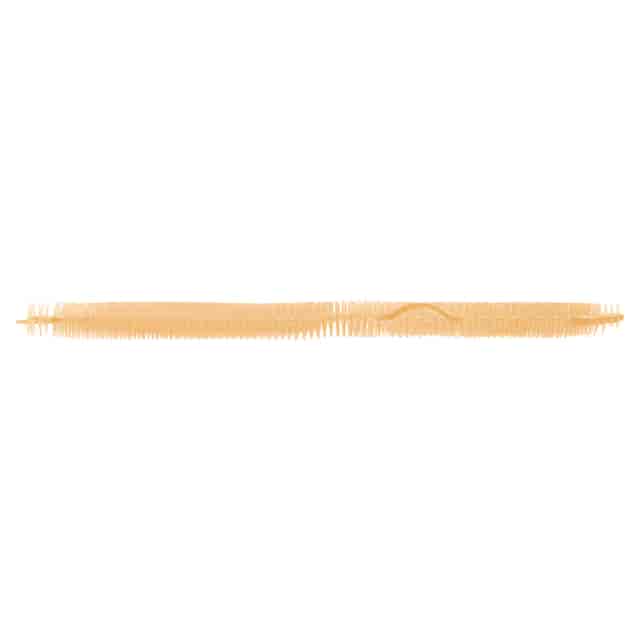 FRSTSU6SS Product Image 3