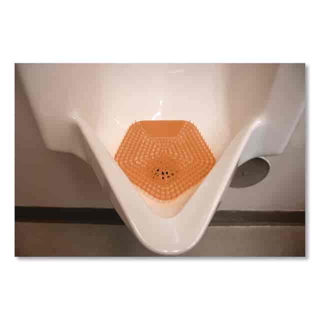 BWK1006 Product Image 2