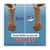 PGC04311 Image Thumbnail 1