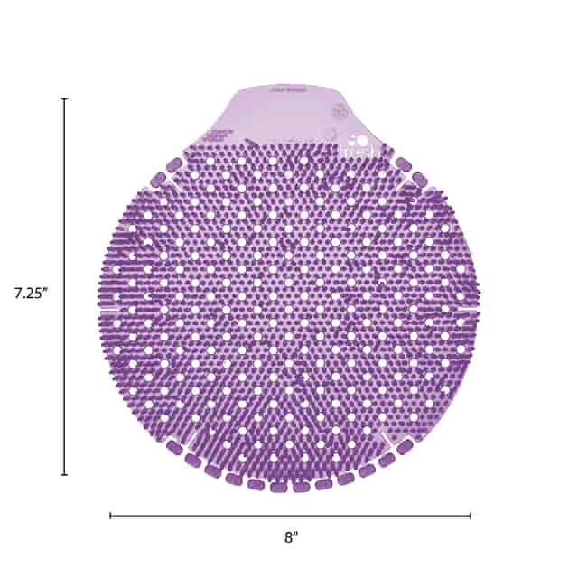 FRSTWDS11 Product Image 5