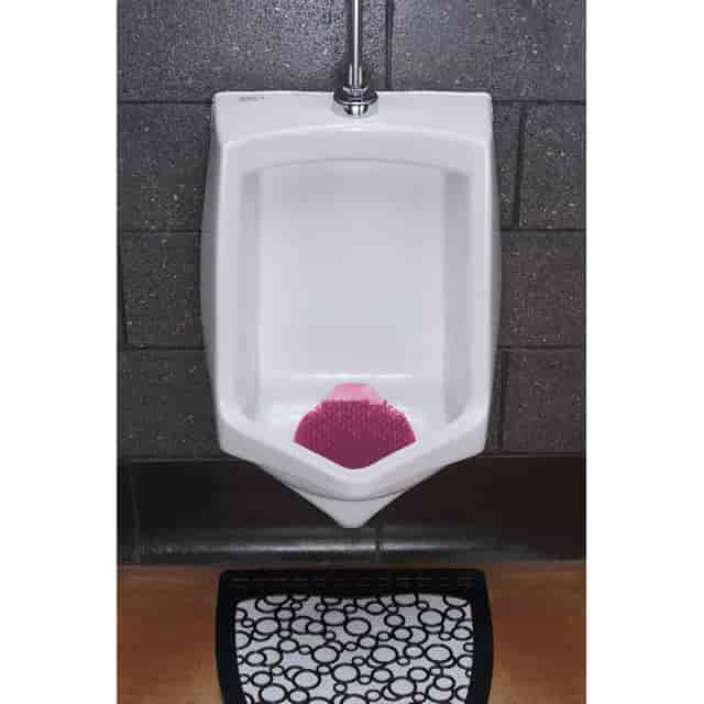 FRSTWDSSA Product Image 2