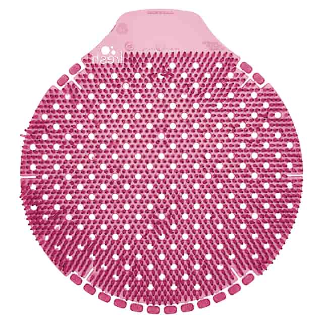 FRSTWDSSA Product Image 4