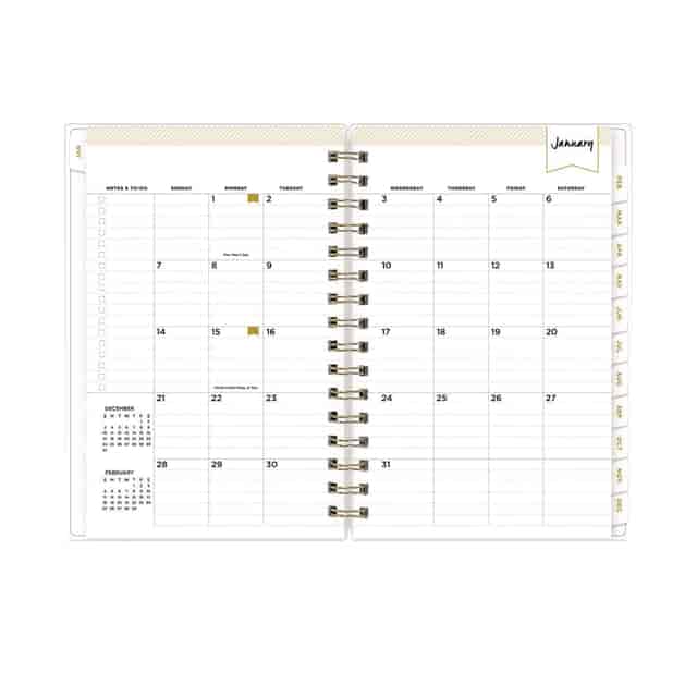 BLS103623 Product Image 4