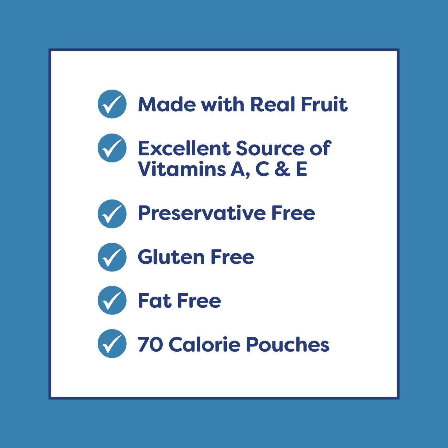 Fruit Snacks by Welch's® WELPIM94068 | OnTimeSupplies.com