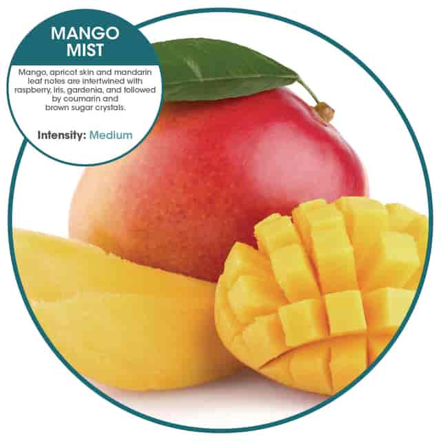 BWK1006 Product Image 3