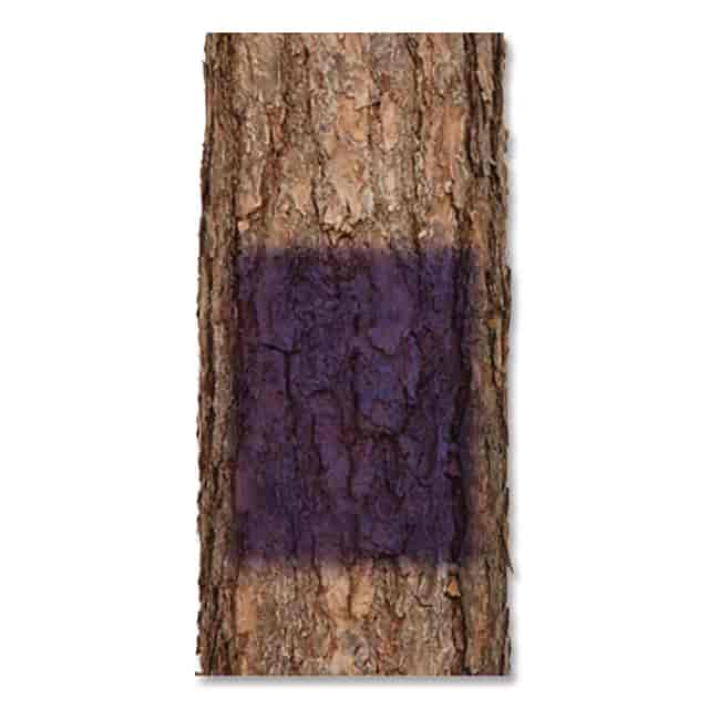 RST270970CT Product Image 5
