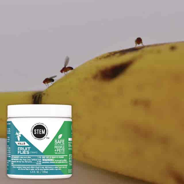 SJN329965 Product Image 2