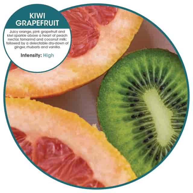 FRSOFB48KGBX Product Image 6