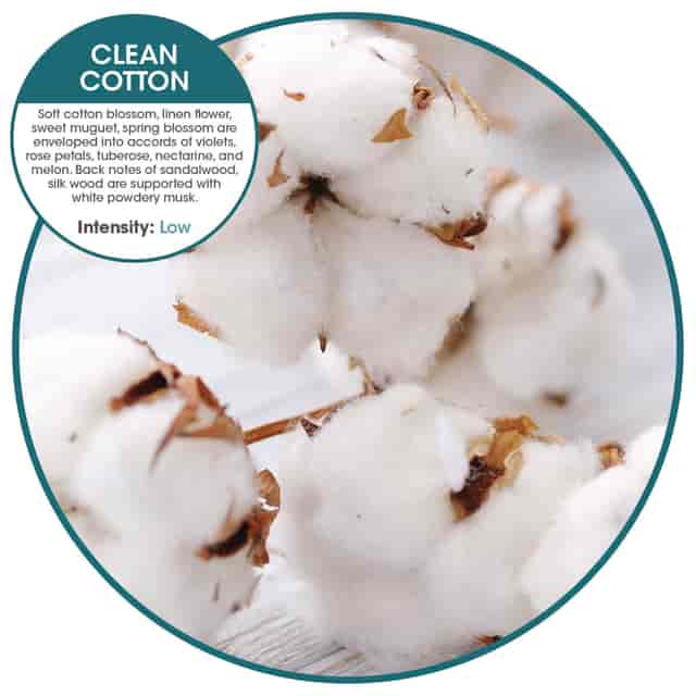 FRSOFE36CBBX Product Image 6