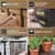 DYM43613 Image Thumbnail 4